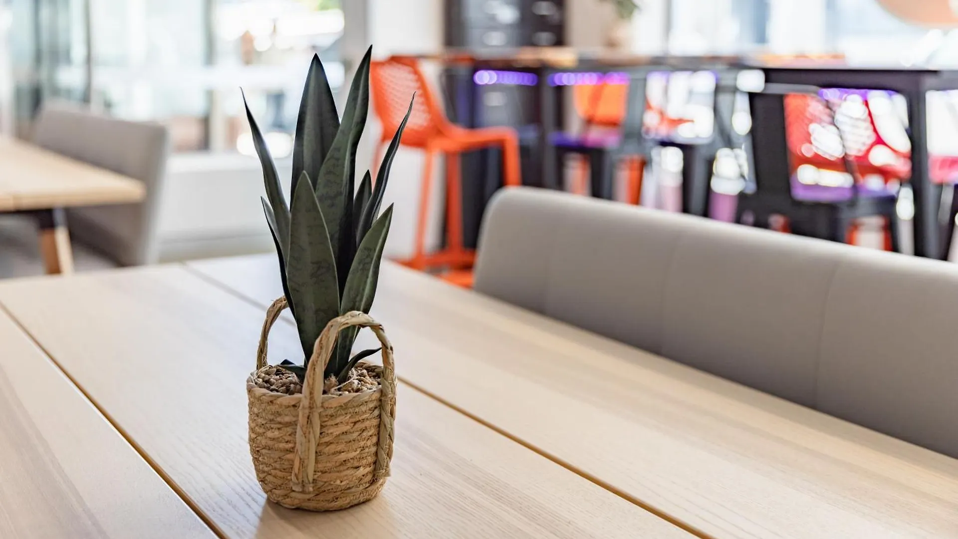 Tequila Sunrise Podstel Brisbane Vandrarhem